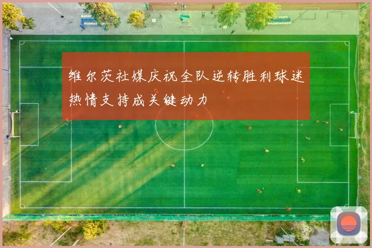 维尔茨社媒庆祝全队逆转胜利球迷热情支持成关键动力